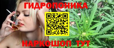 apvp Донской