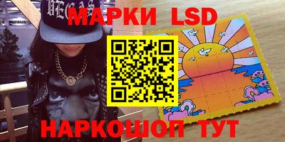 шишки Дубна