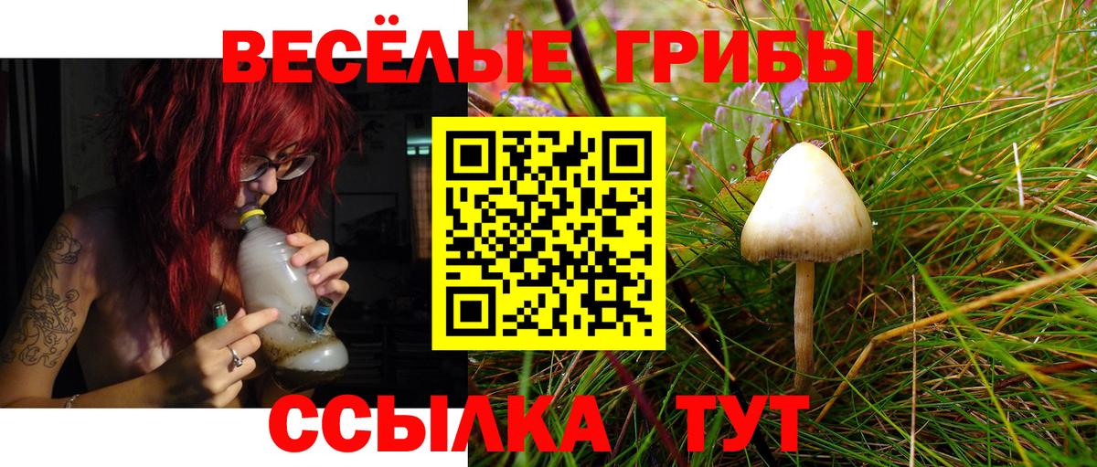 Псилоцибиновые грибы Cubensis Михайловск